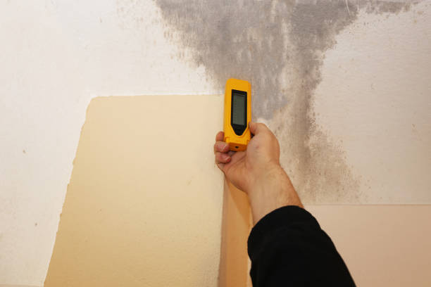 Best Mold Remediation for Healthcare Facilities  in Burns Flat, OK