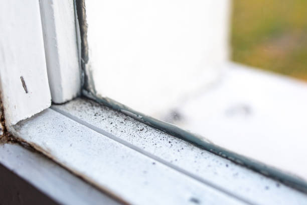 Professional Mold Removal in Burns Flat, OK