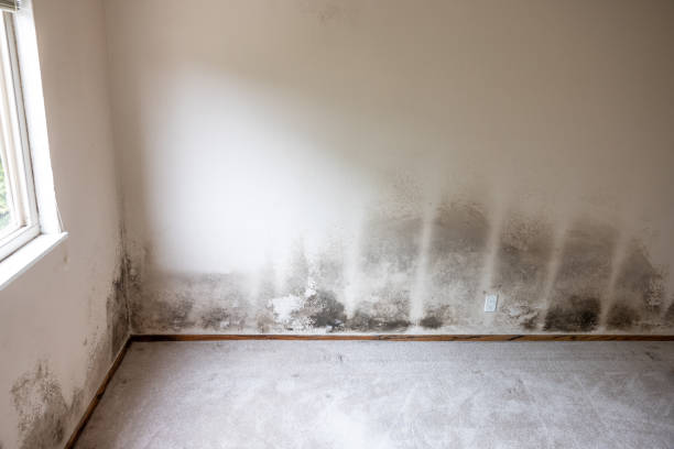 Best Indoor Air Quality Assessment  in Burns Flat, OK